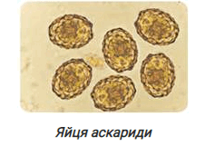 0603nk1b-0664-226x161.png