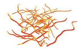 0603nk7m-f8e5-266x168.png