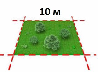 0603nlvz-fea6-317x234.png