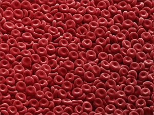 0603nmp9-a920-300x225.png