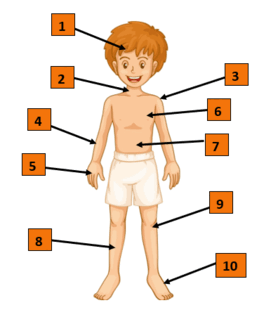 0603nnwc-13d1-271x317.png