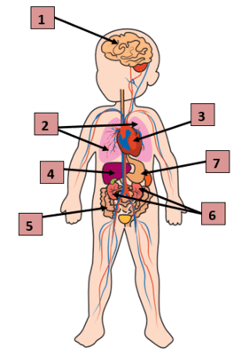 0603no9c-d143-281x401.png