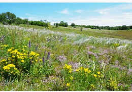 0603noat-94f0-260x182.png