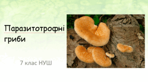 презентація "Паразитотрофні гриби"
