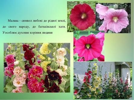 0603nsl5-33d6-445x334.jpg