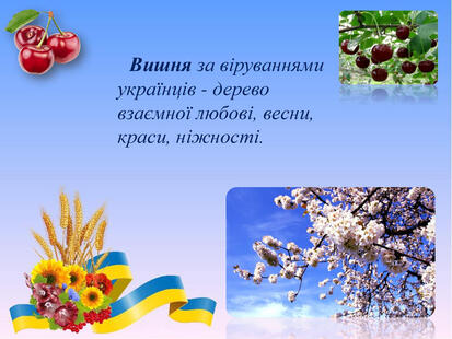 0603nslb-e97e-413x310.jpg