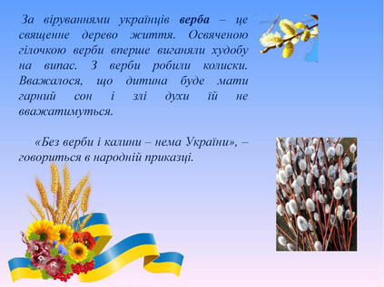 0603nslg-d298-423x317.jpg