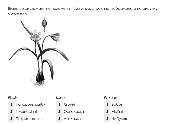 0603nt1e-08cb-733x521.png