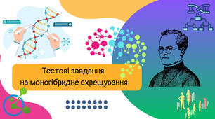 Тестові завдання на моногібридне схрещування