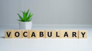 Vocabulary Focus 2 Unit 8