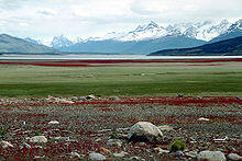 0603nyuy-c3f9-220x147.jpg