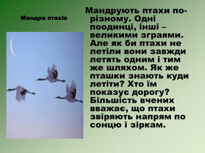 0603o0px-d4f4-288x216.jpg