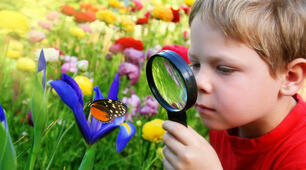 Перші кроки до впровадження STREAM-освіти