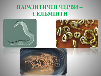 0603o16g-1bc2-346x259.jpg