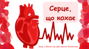 ❤️Серце, що кохає❤️ Захід з біології до Дня святого Валентина