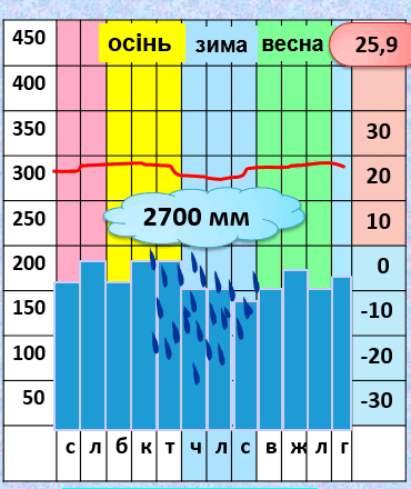 0603o37u-f210-370x440.png