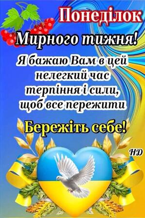 0603o5mf-3f9e-298x447.jpg