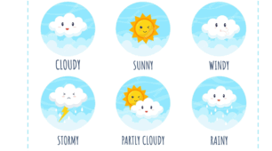 WHAT’S THE WEATHER   LIKE TODAY?