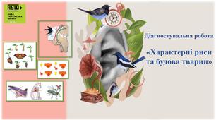 Характерні риси та будова тварин