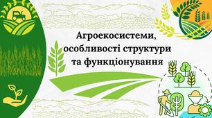 Тестові завдання "Агроекосистеми, особливості структури та функціонування"