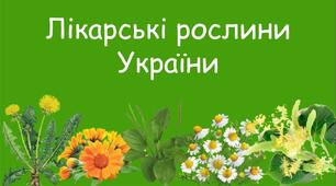 Тема: Лікарські рослини Зеленої та Червоної книги України.