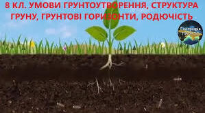 Розробка конспкту уроку. Умови ґрунтоутворення, структура ґрунту, ґрунтові горизонти, родючість.  Практична робота 8.