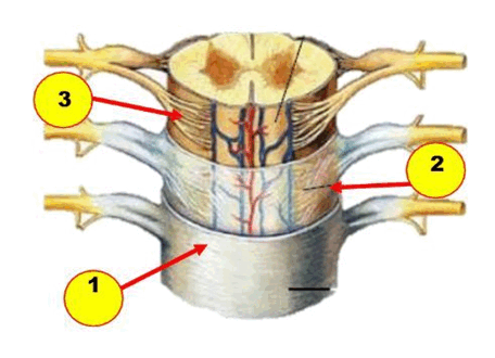 0603ok23-c270-456x330.png