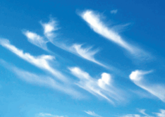0603okxl-f50b-234x166.png