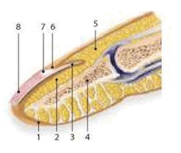 0603om3w-9707-256x217.png