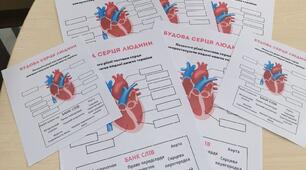 🔬 Робочий аркуш "Будова серця людини" Біологія 8 клас 🫀