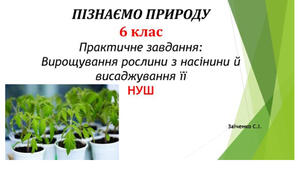 6 клас. Презентація "Практичне завдання: Вирощування рослини з насінини й висаджування її" НУШ