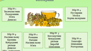 Фітотерапія