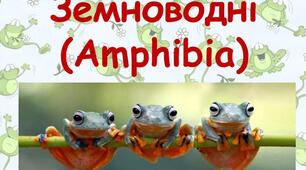 Земноводні.