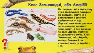 0603oyzd-614a-411x231.webp