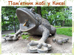 0603oziz-ffc5-250x187.jpg