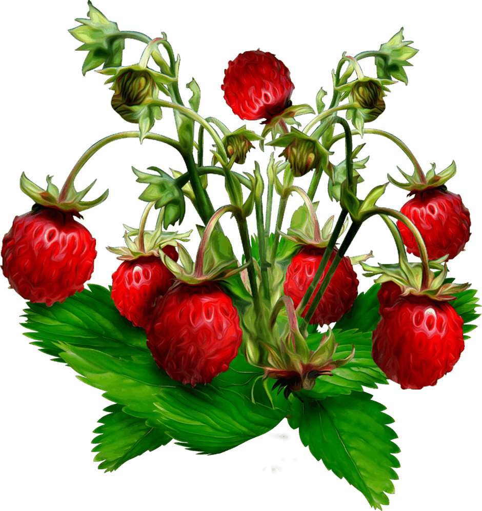 0603p02o-ce2d-940x996.png