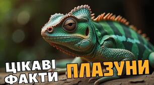 Плазуни