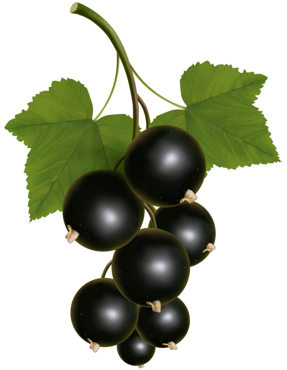 0603p057-40b7-940x1210.png