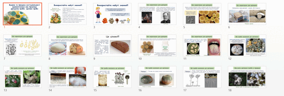 0603p0l8-ac13-940x318.png