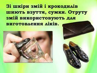 0603p0vo-af6b-310x233.jpg