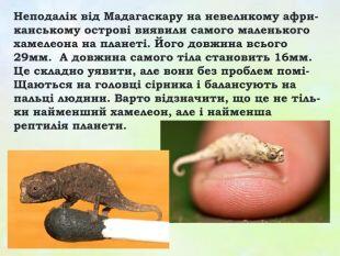 0603p0x1-8485-352x265.jpg