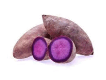 0603p0x4-2d54-209x158.png