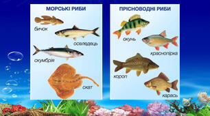 Риби