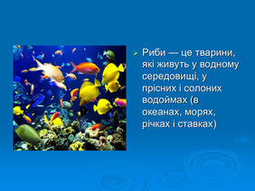 0603p5oi-9219-282x212.jpg