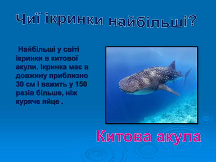 0603p5q7-17a0-429x322.jpg