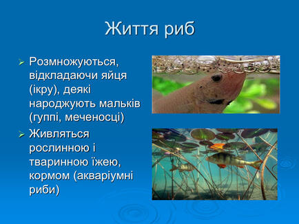 0603p5r9-48fe-434x326.jpg