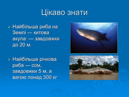 0603p5sy-d8bf-412x309.jpg