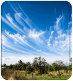 0603p5tc-d0ba-258x285.png