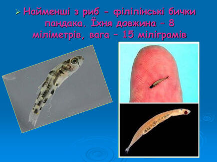 0603p5tm-06e6-435x326.jpg