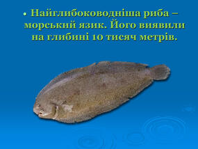 0603p5ud-b0f4-285x214.jpg